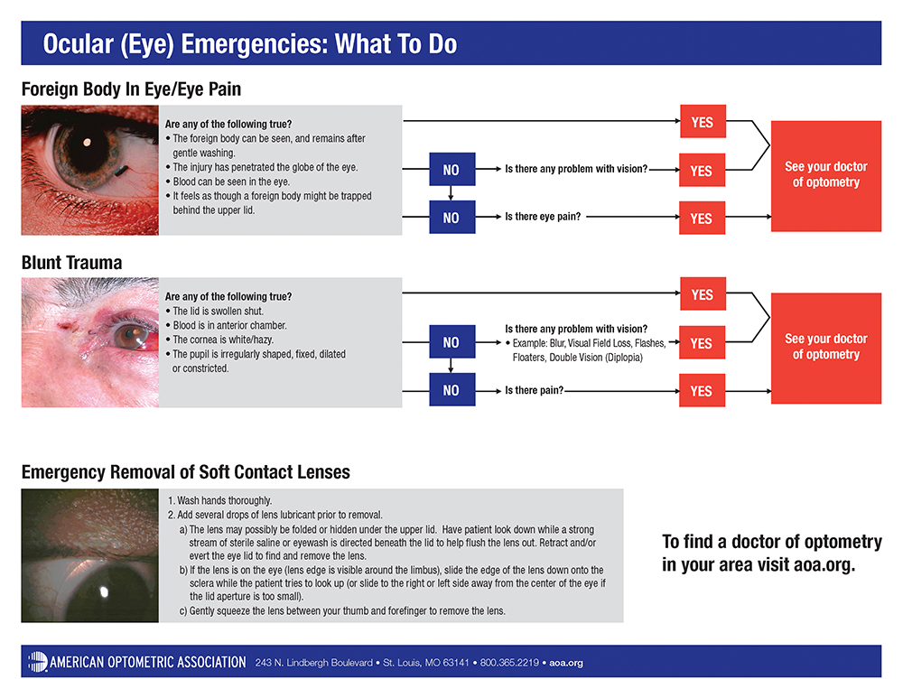 Ocular Emergency Card